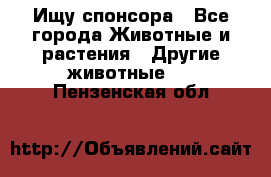 Ищу спонсора - Все города Животные и растения » Другие животные   . Пензенская обл.